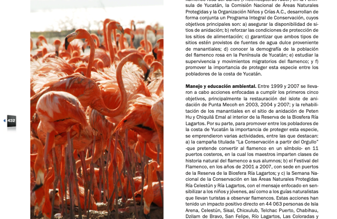 Conservacion Flamenco