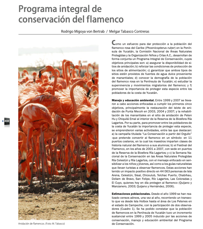 Conservacion Flamenco