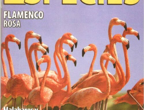 Revista sobre conservación y biodiversidad ESPECIES