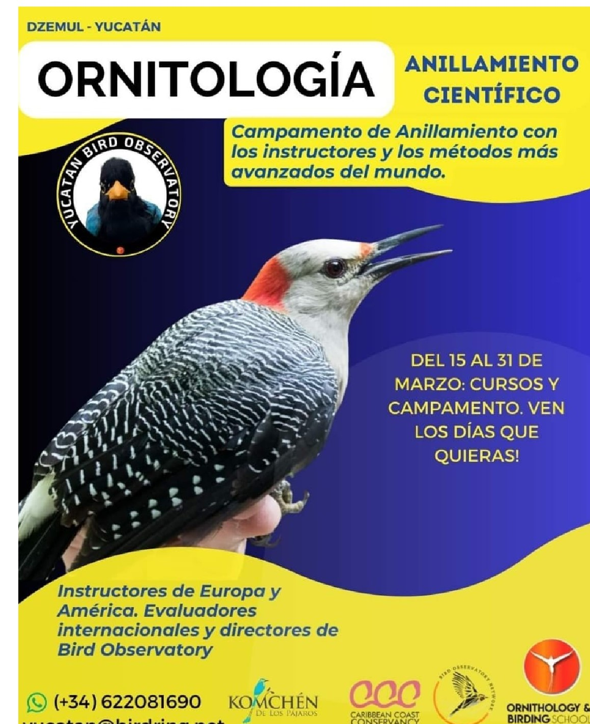 Taller de anillamiento científico en la Estación Biológica “Komchén de los Pájaros